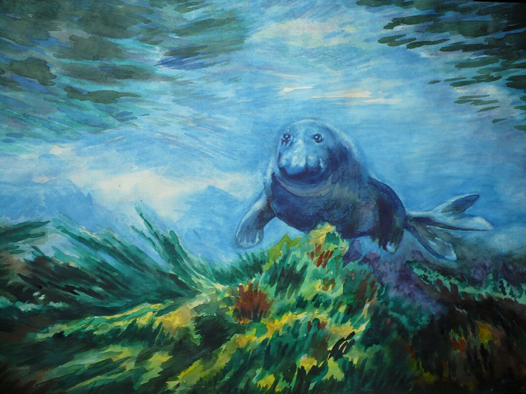 Морской Лев (бумага , акварель) - Валерий Кокорев