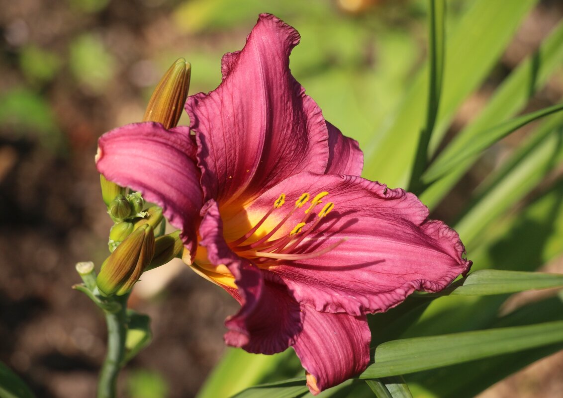 Вот и август - Наталья Герасимова