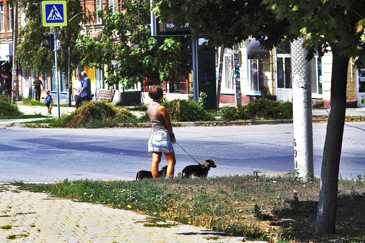 Ждём зелёный... - Юрий Гайворонскiий