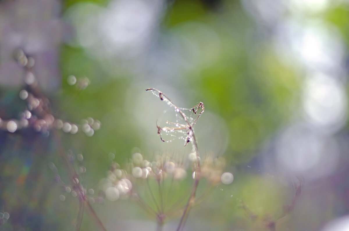 Травинка - Lyubov Busova