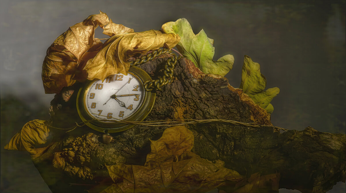 Прошедшее время. - Владимир Владимир Прошедшее время. - Владимир Владимир