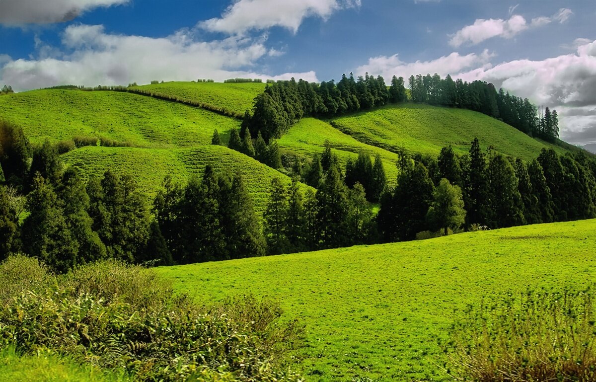 Magic Azores 77 - Arturs Ancans