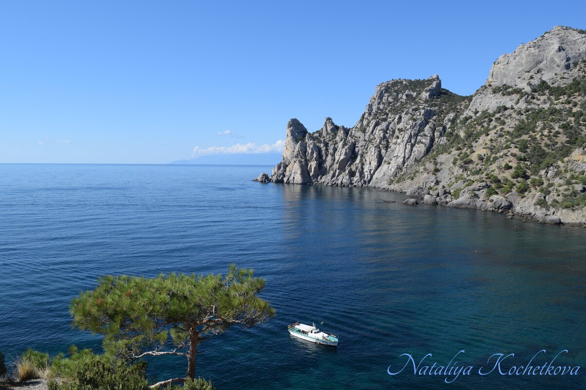 Природа Крыма - Amazing Cosmea