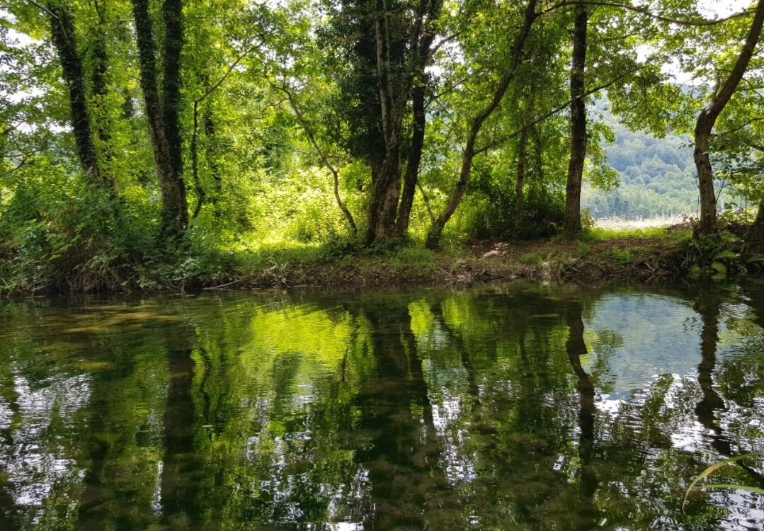 Горная речка - Tata Wolf