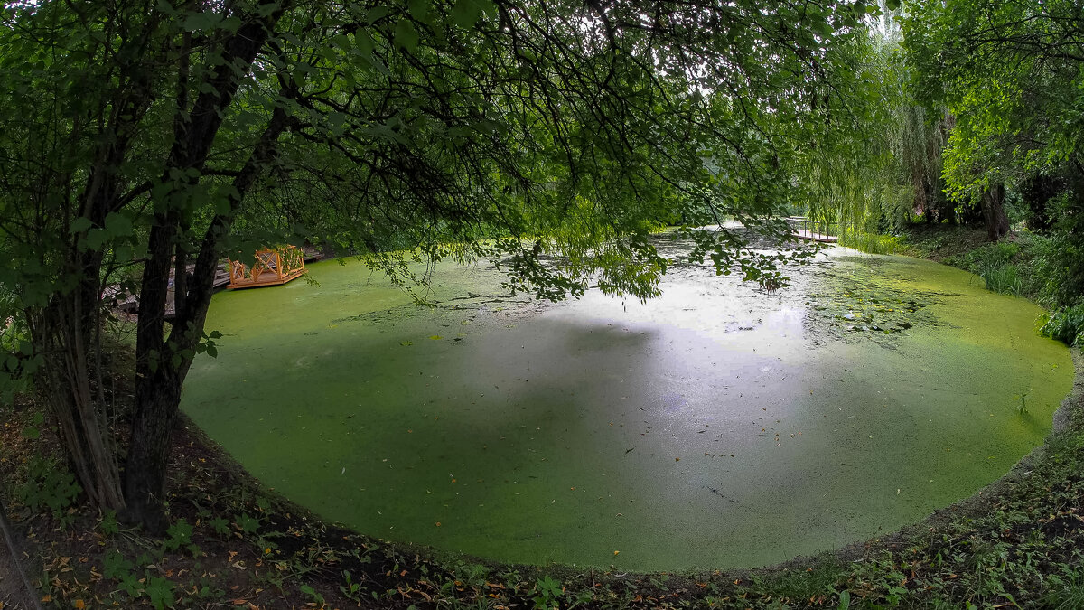 ***** - юрий поляков