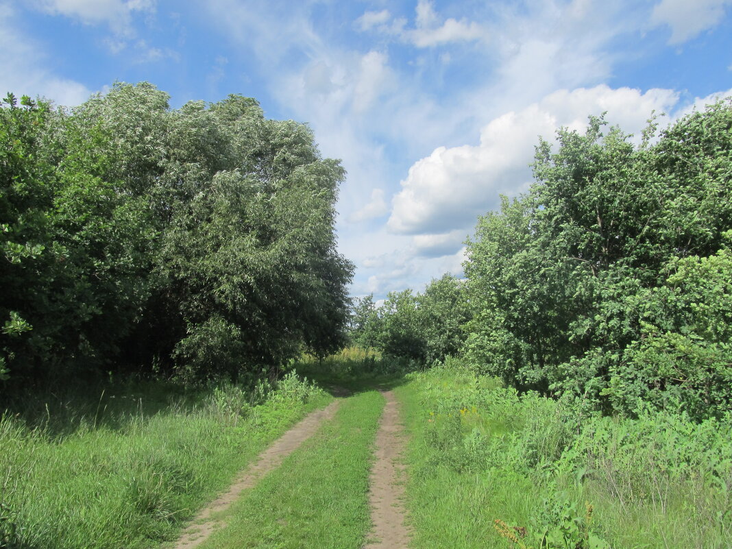 за городом - Елена Шаламова