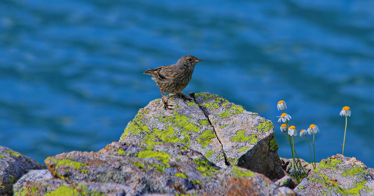 В горах К.-Ч.  Р.  - 16 - Анатолий Стрельченко