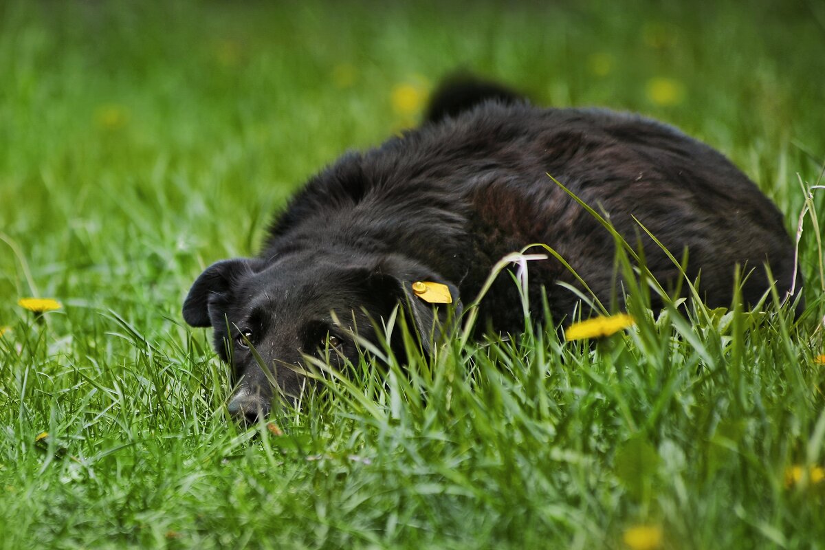 Уйди, старушка, я в печали. - Татьяна Бравая Уйди, старушка, я в печали. - Татьяна Бравая