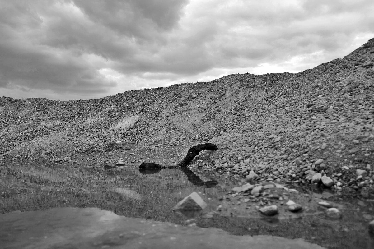 "несси") - Aндрей Антонов