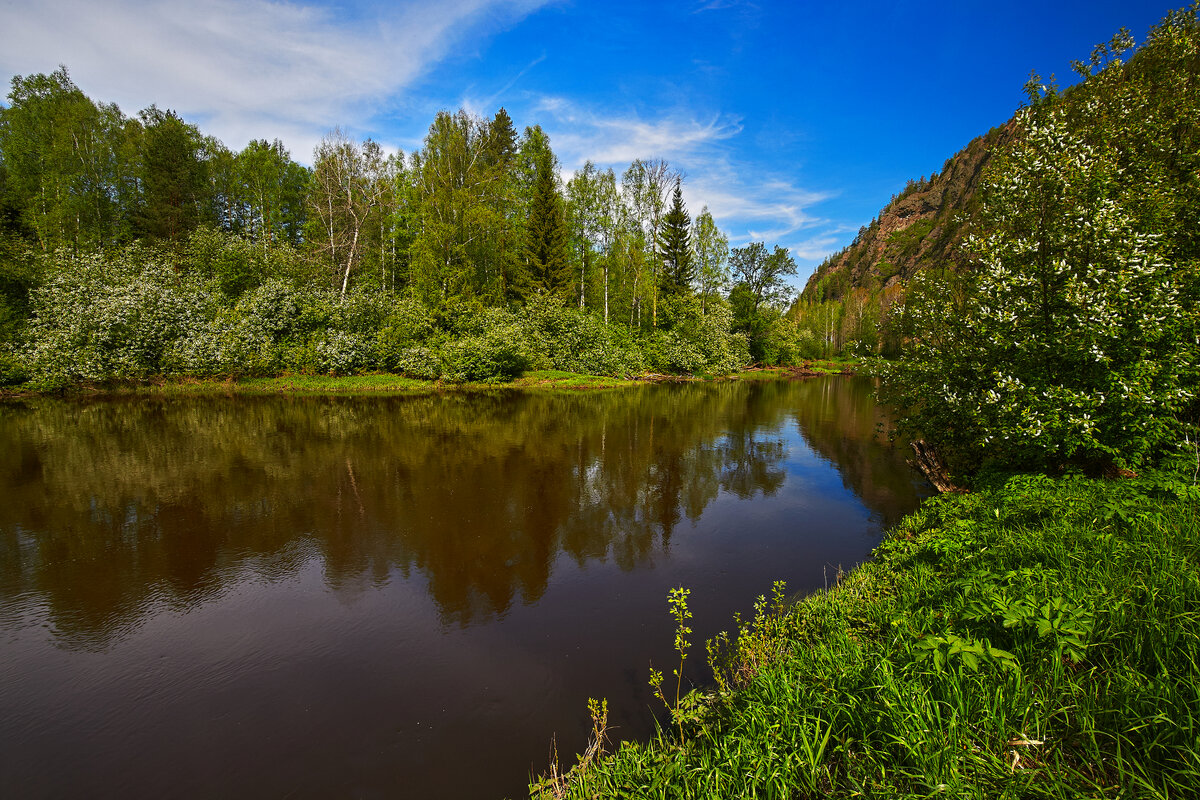 Тихое утро мая 2. - Юрий кот