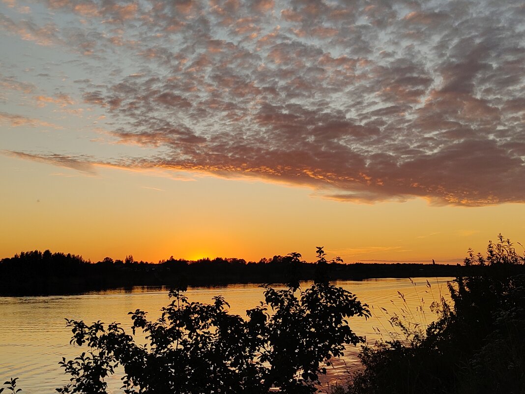 Август - Андрей 