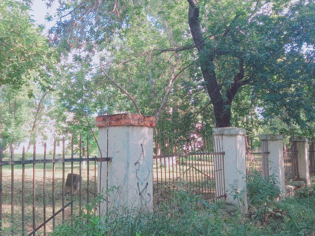 Таракан за колонной. - Игорь Солдаткин