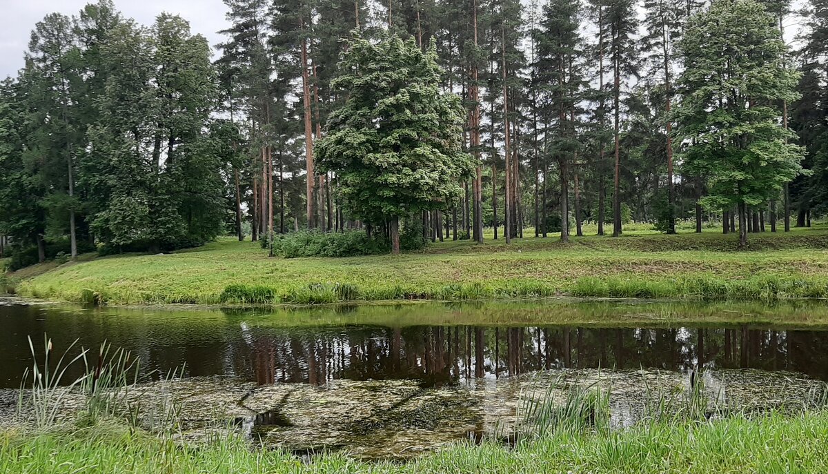 Царское Село. Баболовский парк - Наталья Герасимова