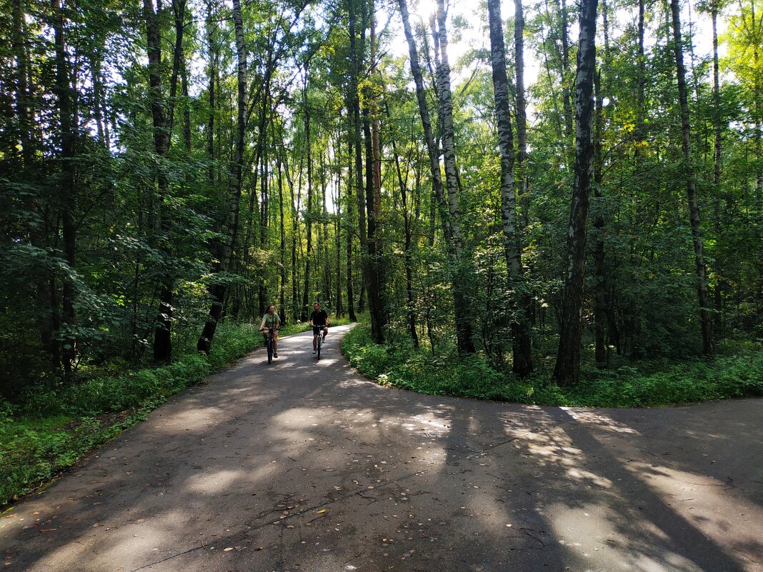 * * * - Андрей Лукьянов * * * - Андрей Лукьянов