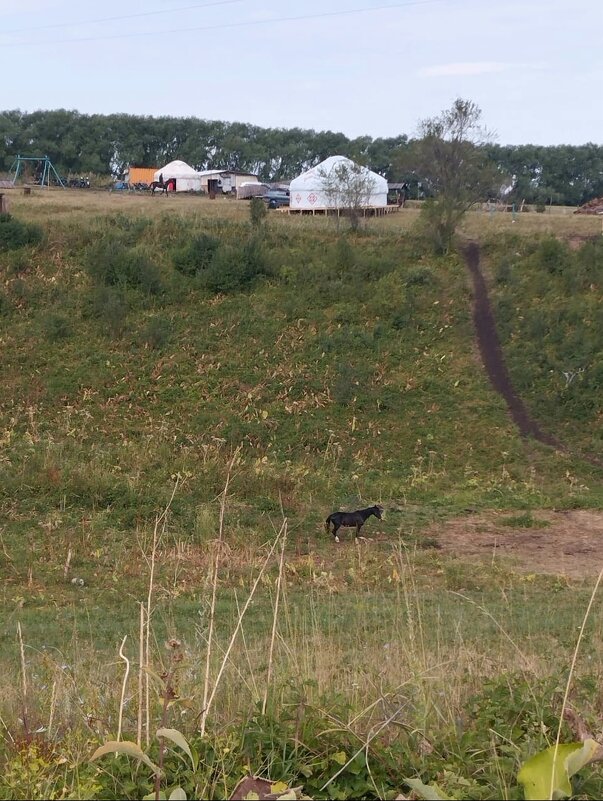 Talgar. - Murat Bukaev 