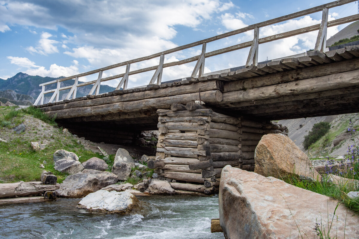 *** - Николай Чекалин