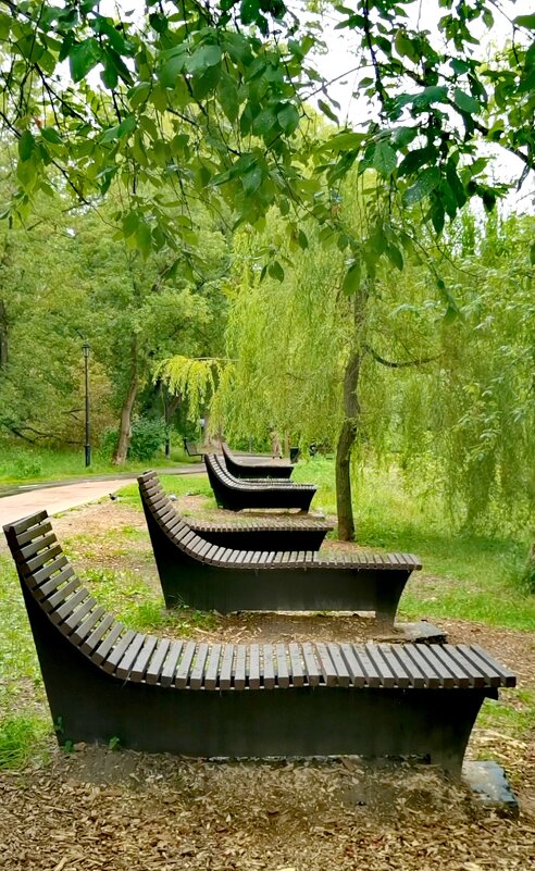 В парке - Любимова Ольга 