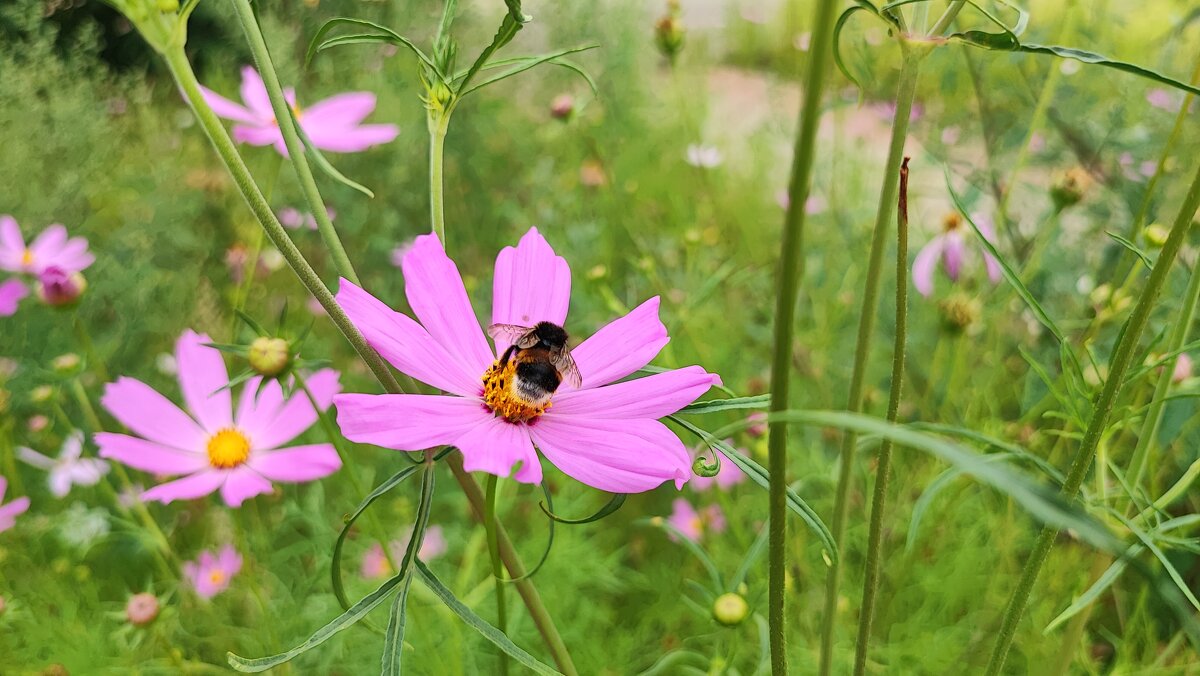 ,,, - Сергей Тимоновский