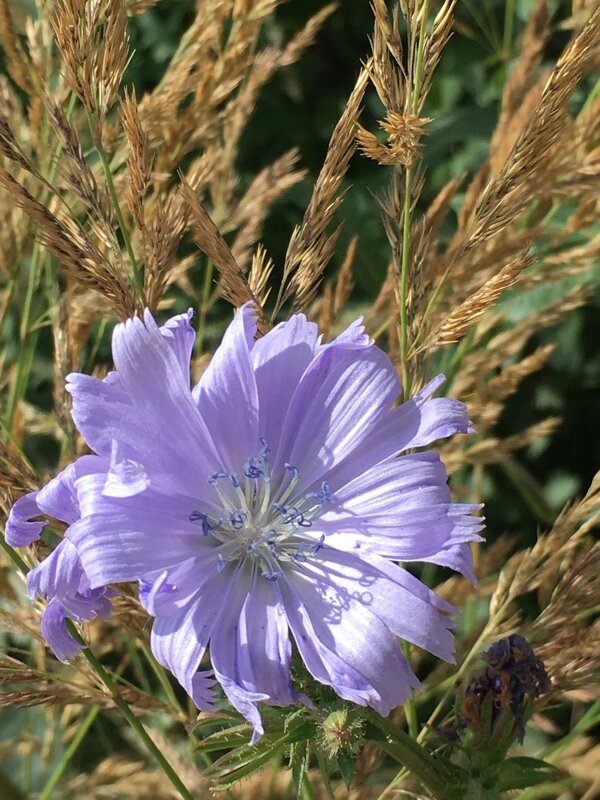 В полях... - Владимир Павлов