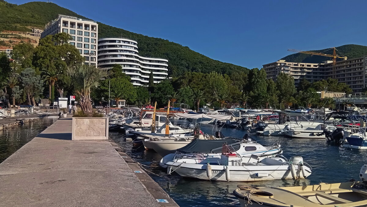 однажды утром.. - Татьян@ Ивановна