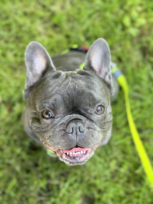 Летний ) - Анна Камс