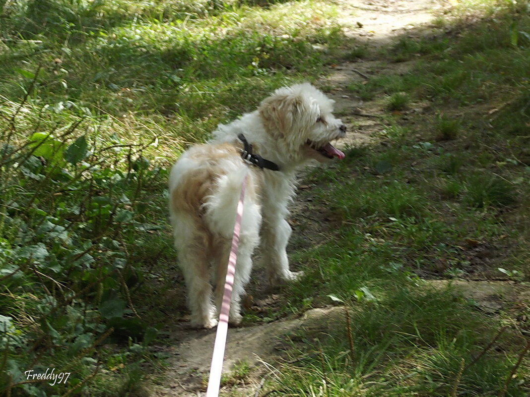 Жарко... - Freddy 97