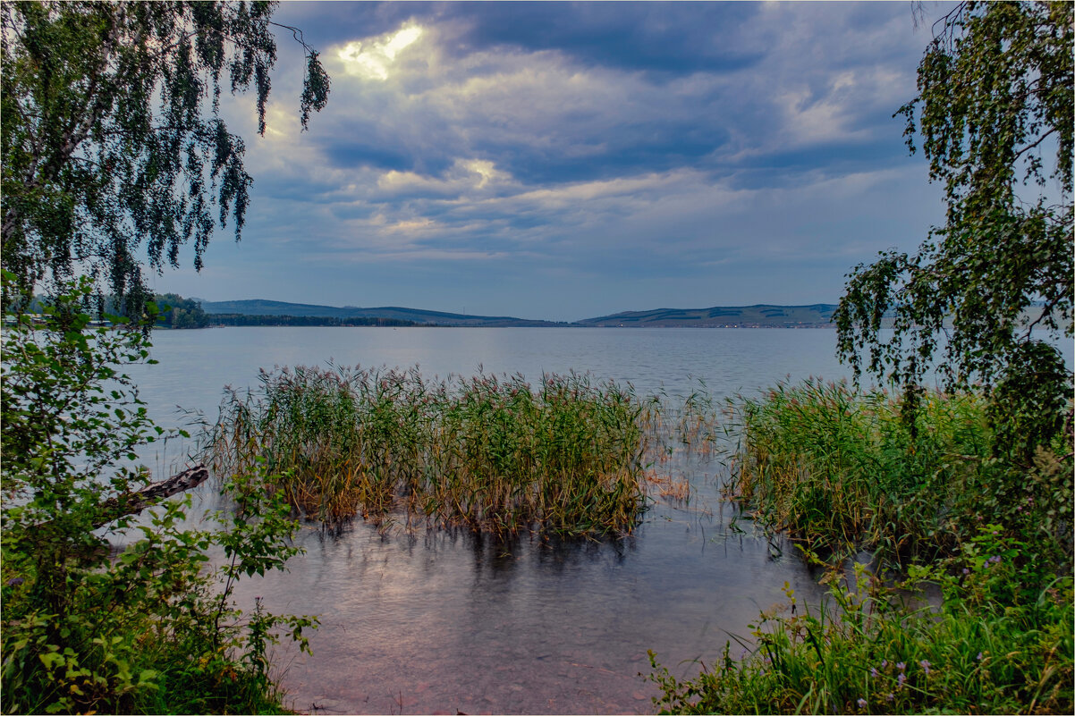 **** - Алексей Мезенцев