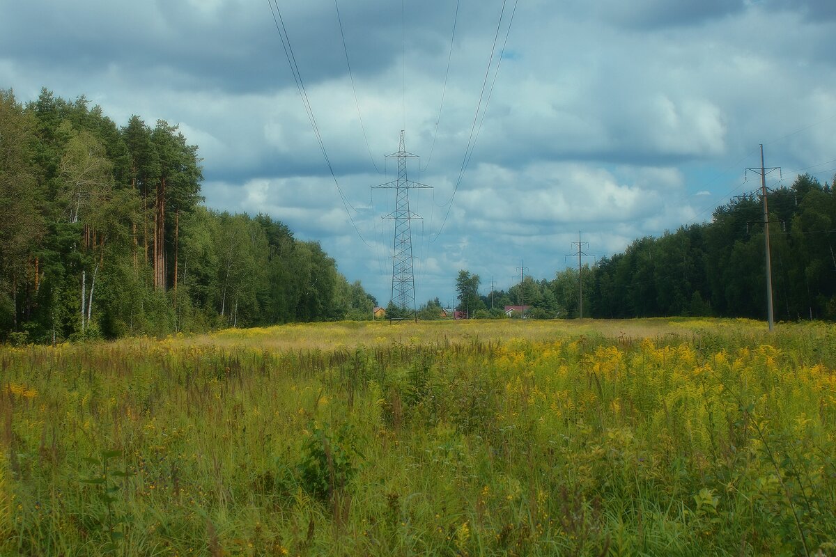 ЛЭП - Леонид leo