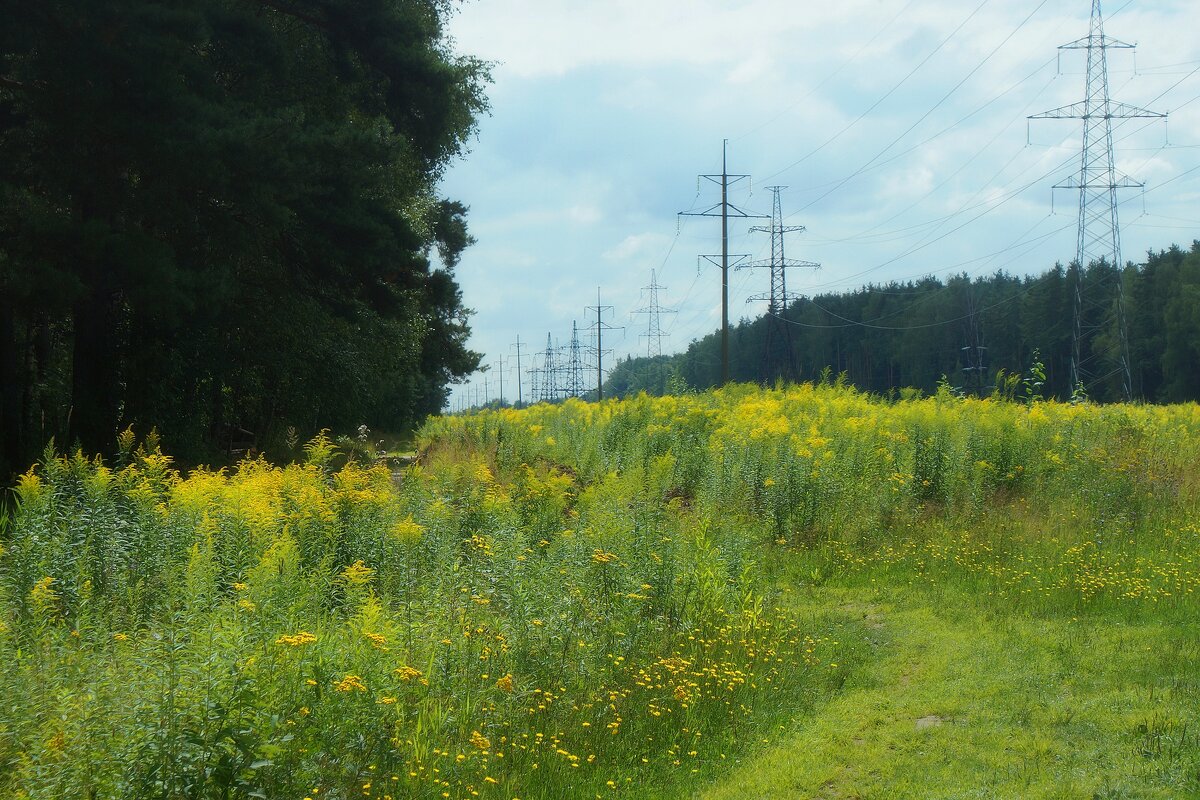 Лосиный остров - Леонид leo