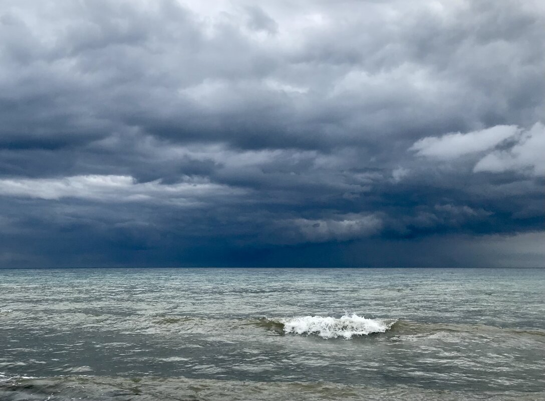 Буря! Скоро грянет буря! - Pippa 