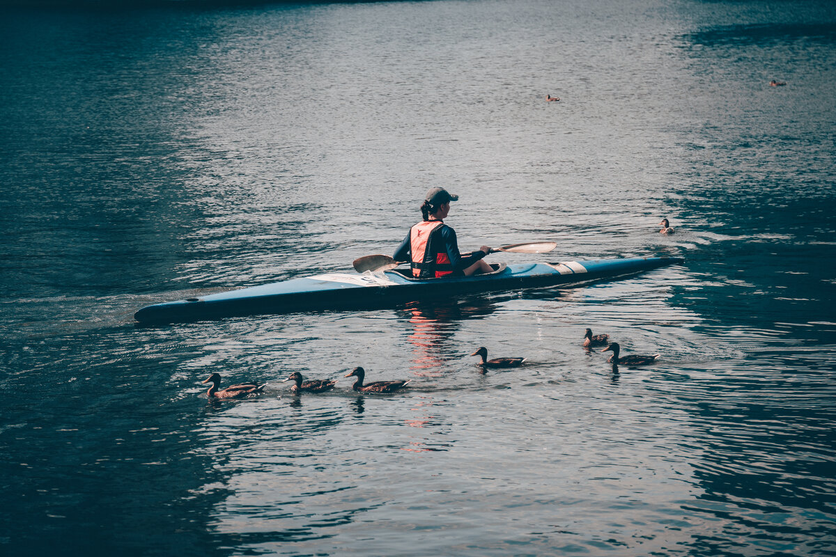 встречное движение - Aleksey Zaikin