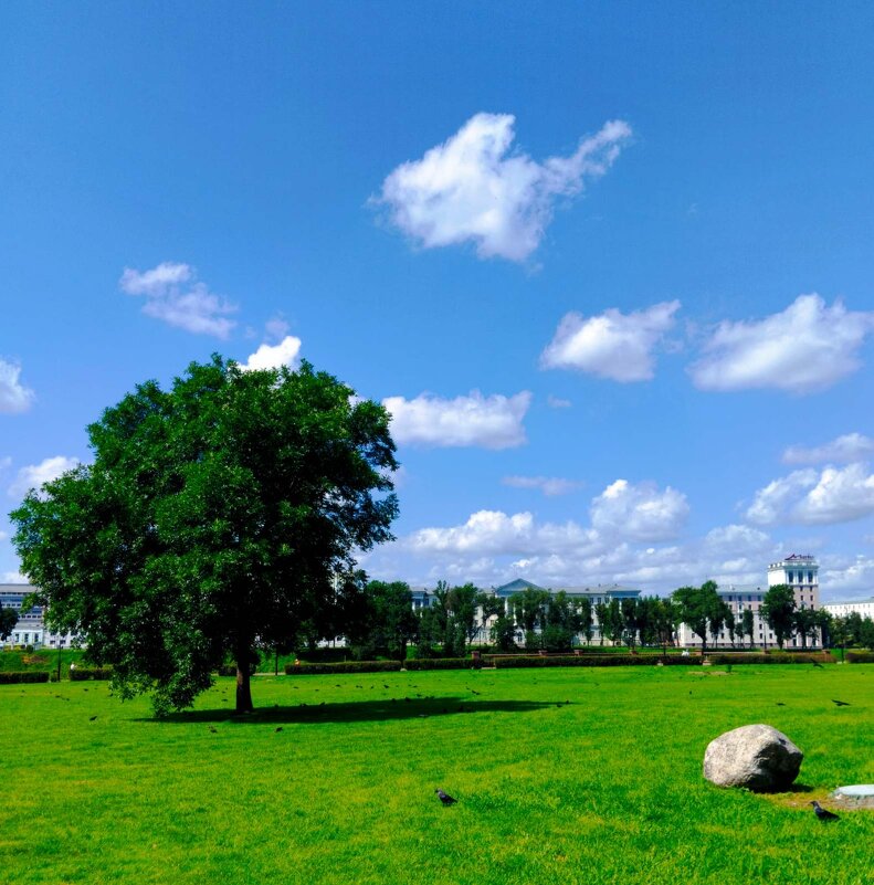 Городской пейзаж - Галина Бобкина