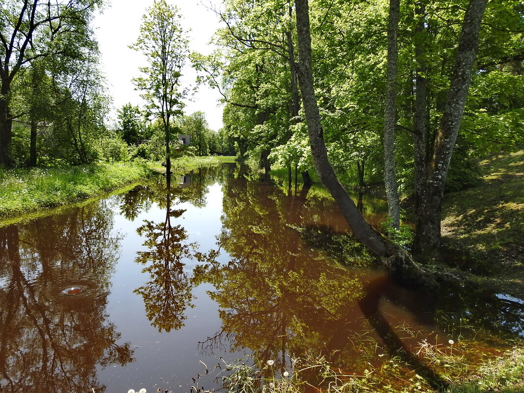 ***** - ИННА ПОРОХОВА ***** - ИННА ПОРОХОВА