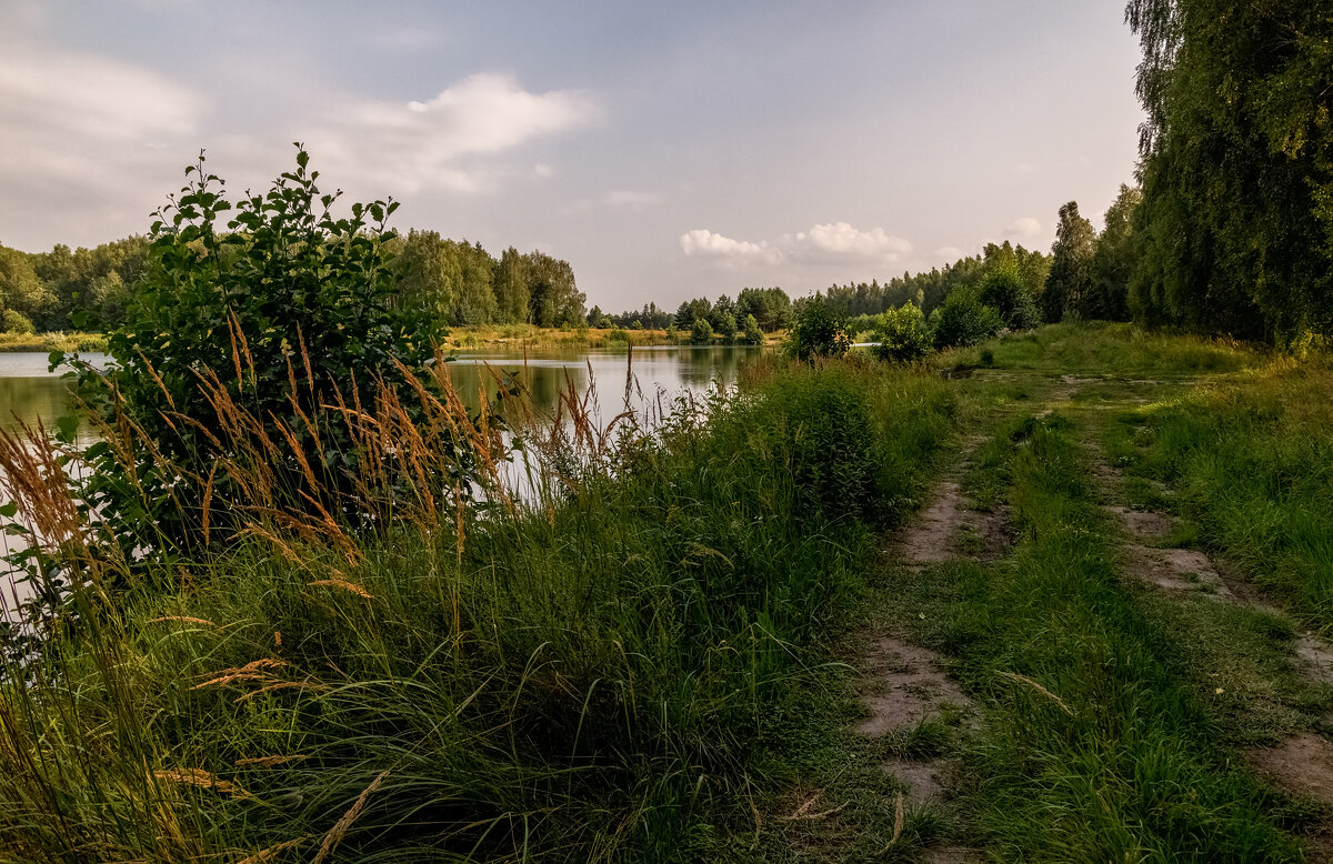 Ильин день - Андрей Дворников