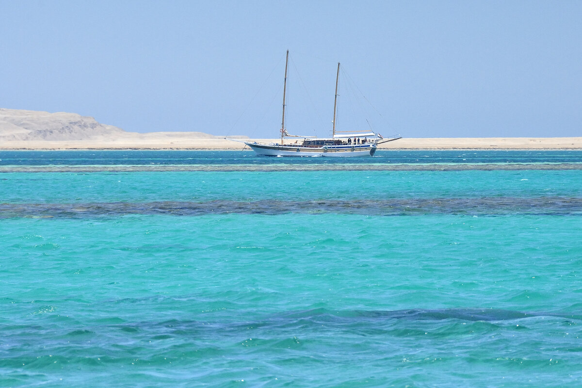 Бирюза - Марина Виноградова