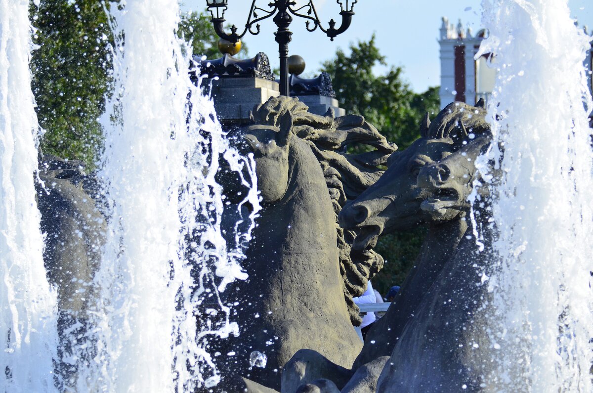 Купание коней. - Наталья Вязигина