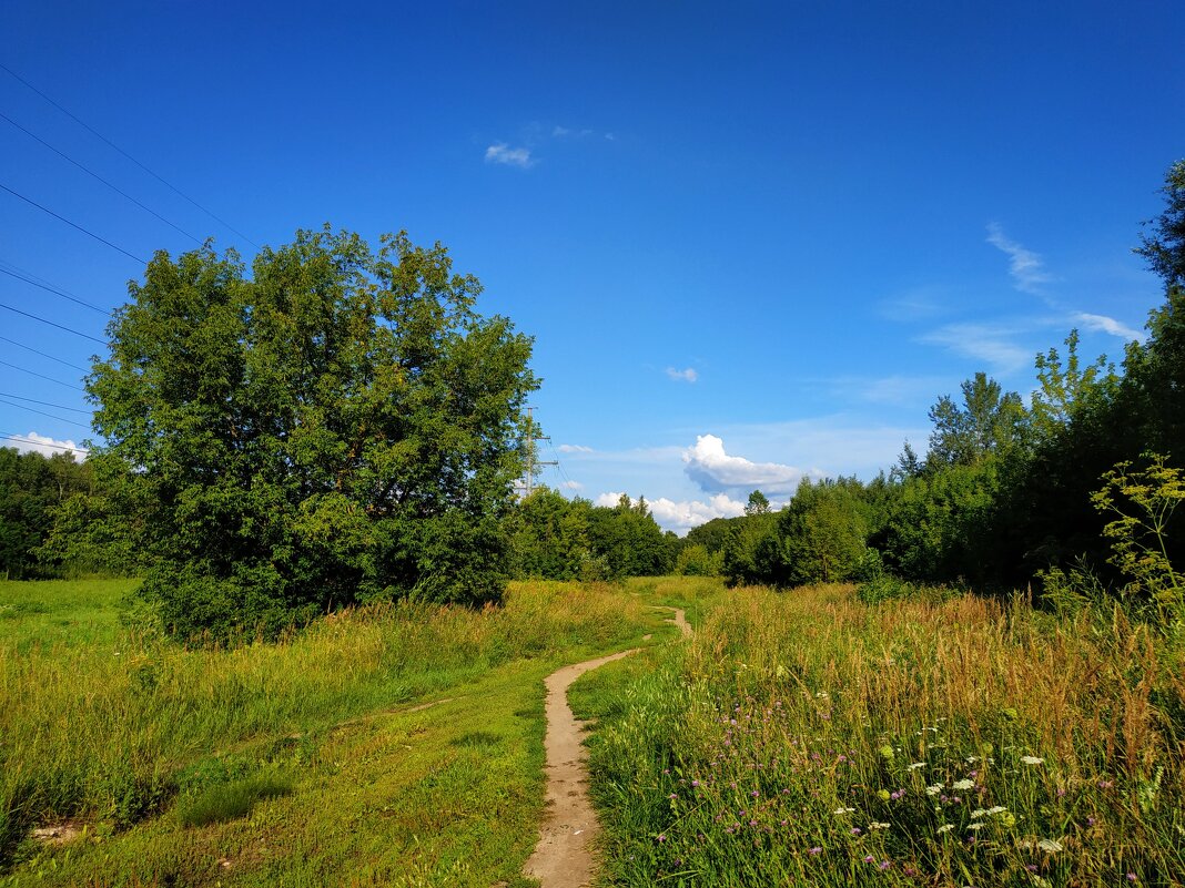 Вот, моя деревня - Андрей Лукьянов