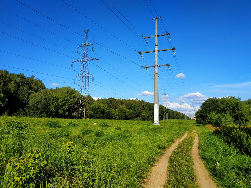 Вот, моя деревня - Андрей Лукьянов