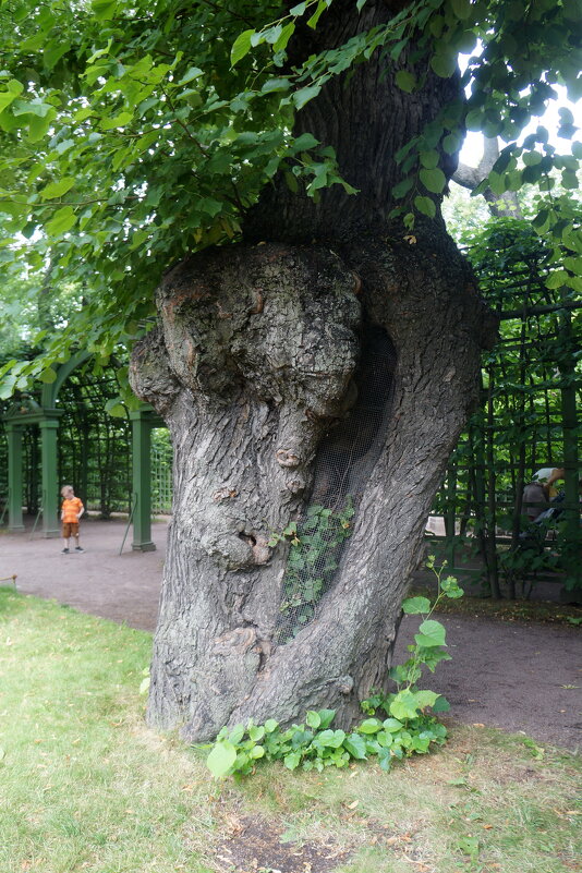 великан и малыш - zavitok *