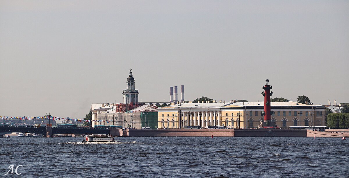 Ростральные колонны вид с Невы - Любовь Сахарова