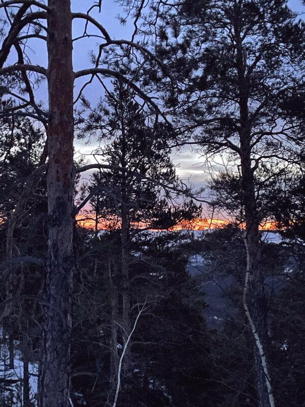 Тишина вечера... - Георгиевич Тишина вечера... - Георгиевич