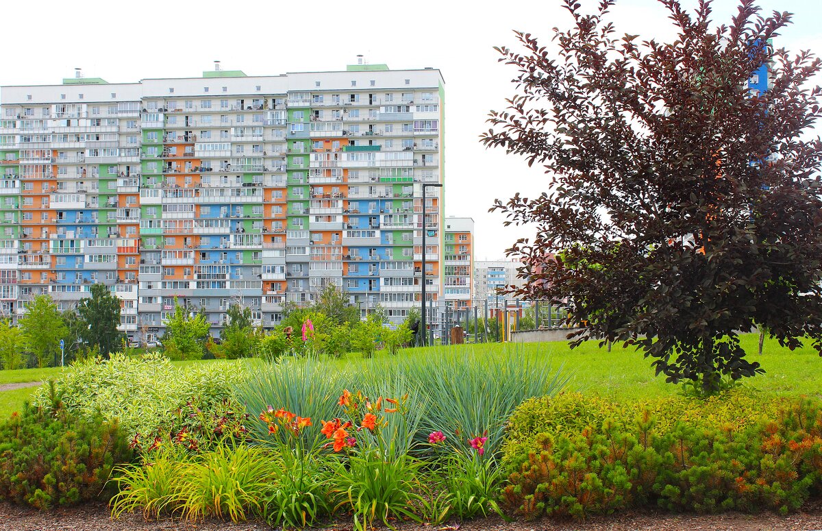 А у нас во дворе - Василий 