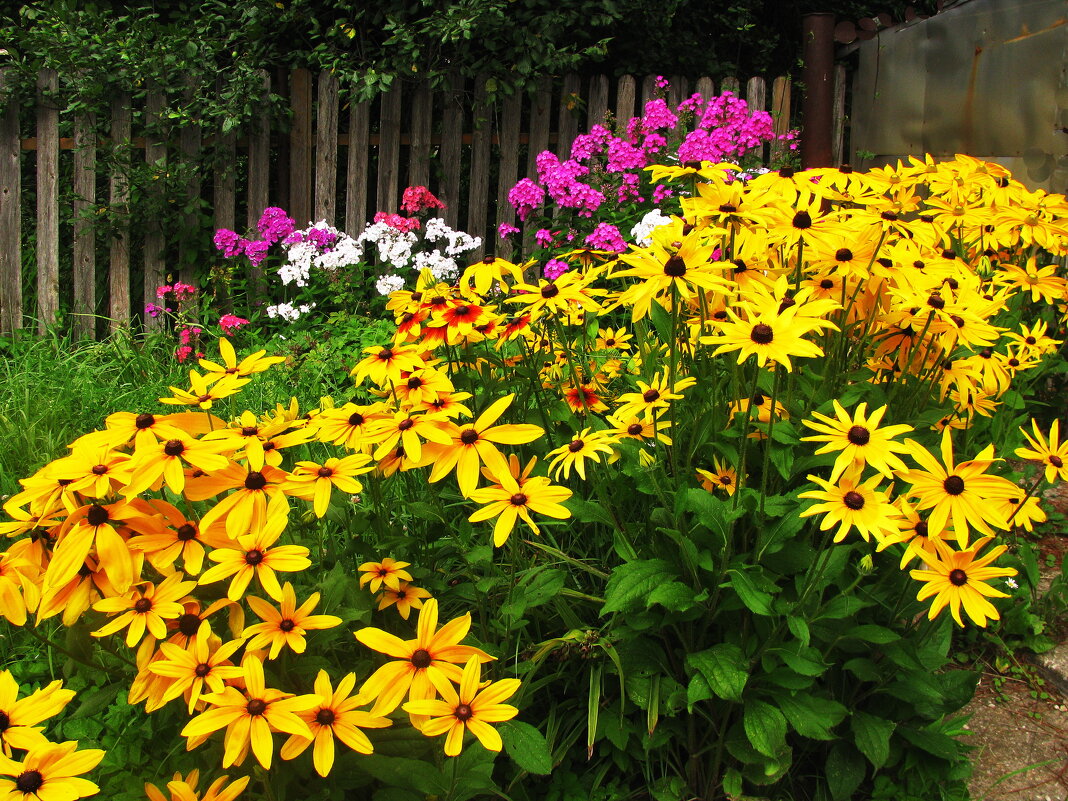 Красота в саду - Людмила Смородинская