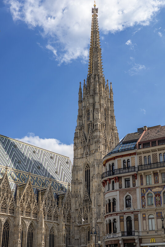 Собор Святого Стефана - Игорь Сикорский