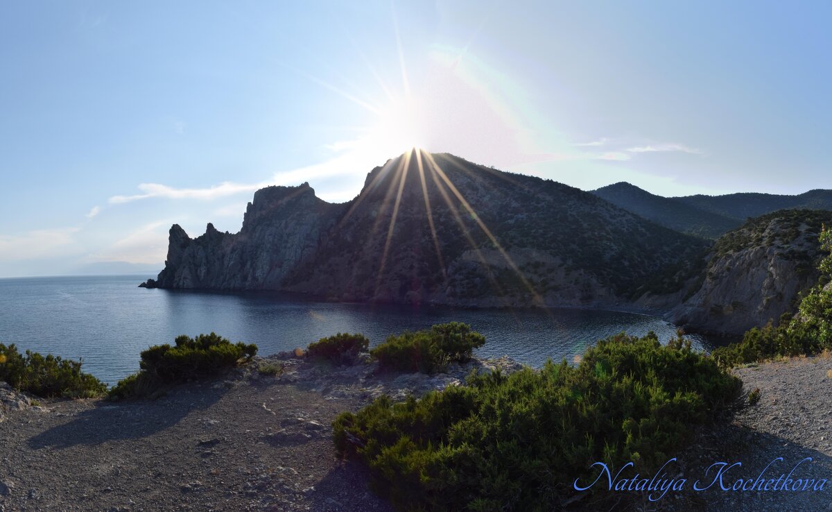 Природа Крыма - Amazing Cosmea