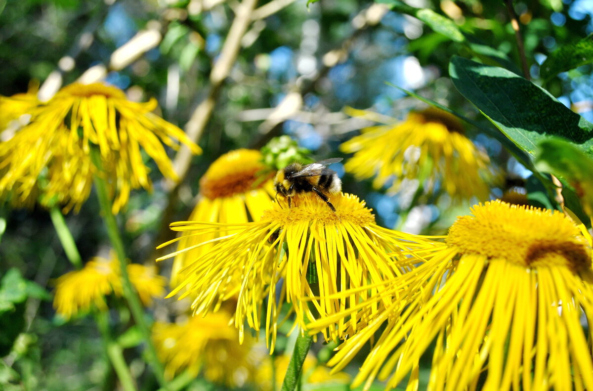 Август. Надо успеть .. - AleksSPb Лесниченко Август. Надо успеть .. - AleksSPb Лесниченко