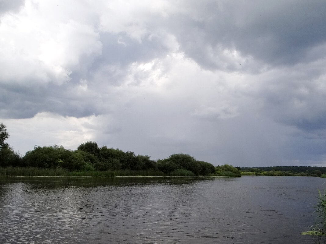 Дождливо, ветрено, пасмурно - Антонина Гугаева