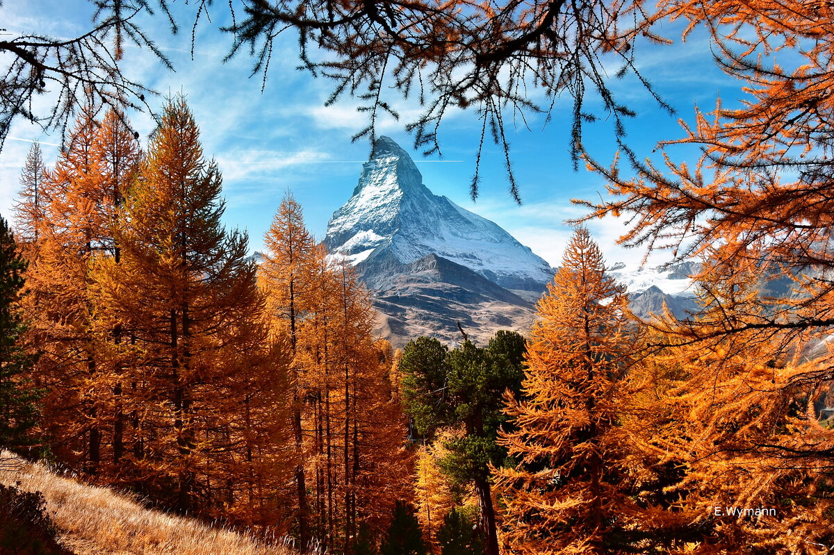 autumn - Elena Wymann