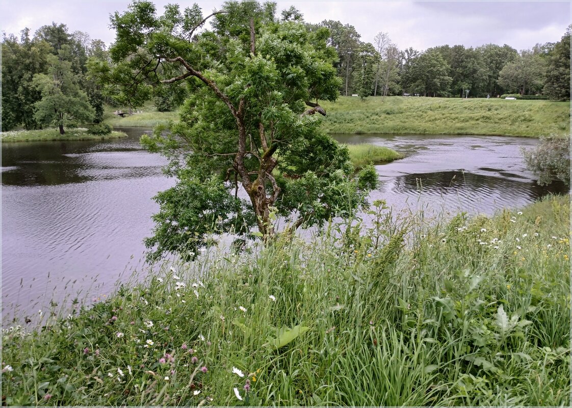 Июньский пейзаж. - Лия ☼ Июньский пейзаж. - Лия ☼