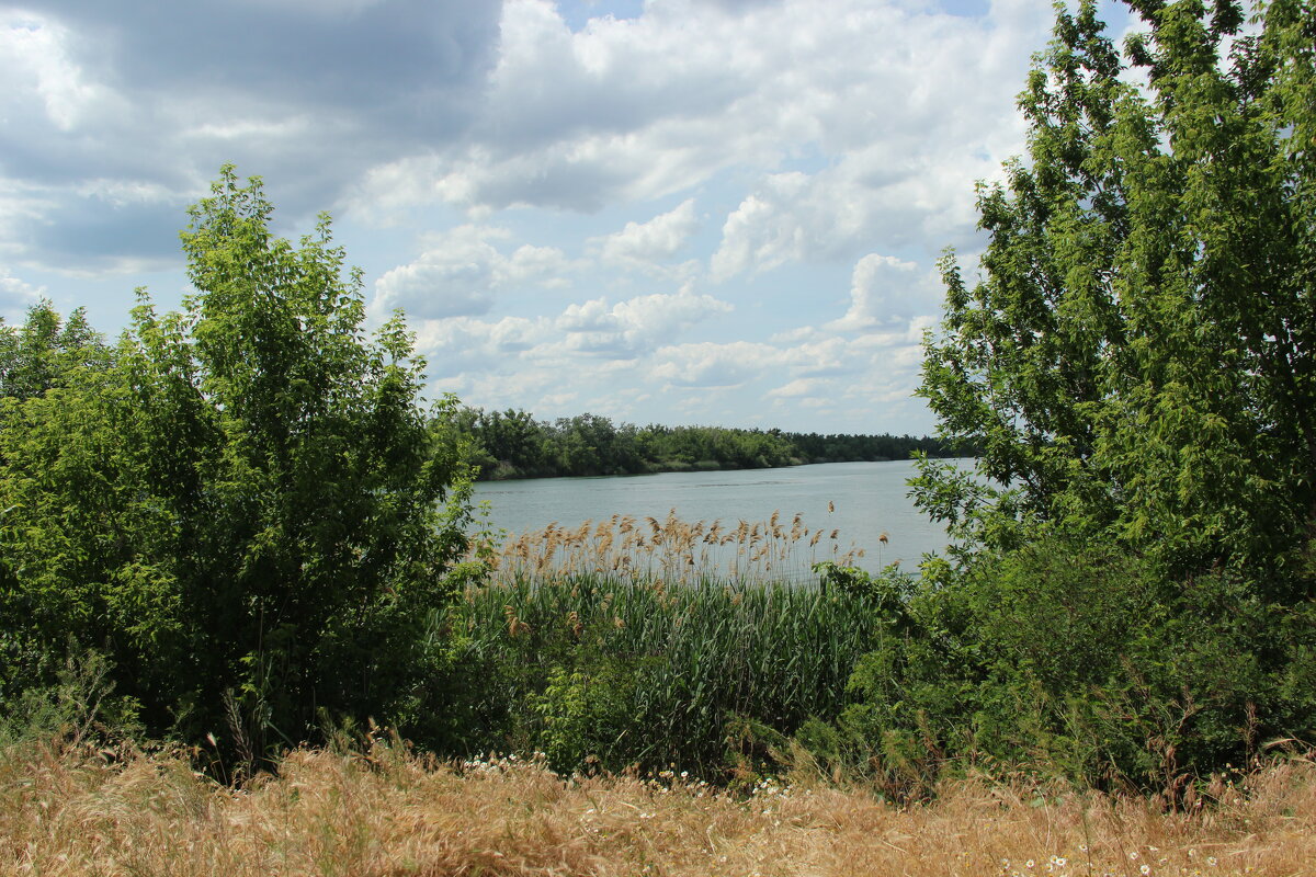 У Дона. - Виктор У Дона. - Виктор